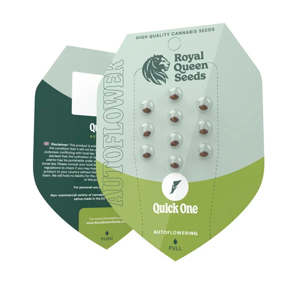 Royal Queen Seeds – Quick One Feminized Auto Seeds (Compact Beginner-Friendly Autoflower) - 3 Seeds - Image 2